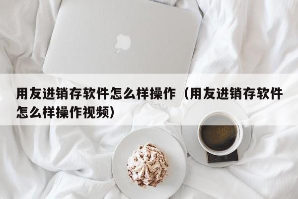 用友进销存软件怎么样操作（用友进销存软件怎么样操作视频）