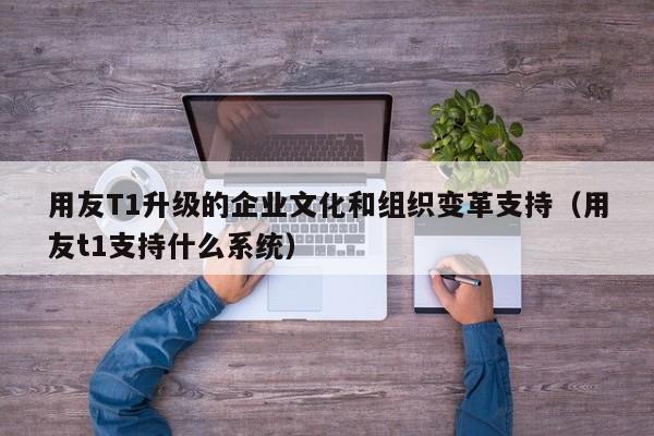 用友T1升级的企业文化和组织变革支持（用友t1支持什么系统）