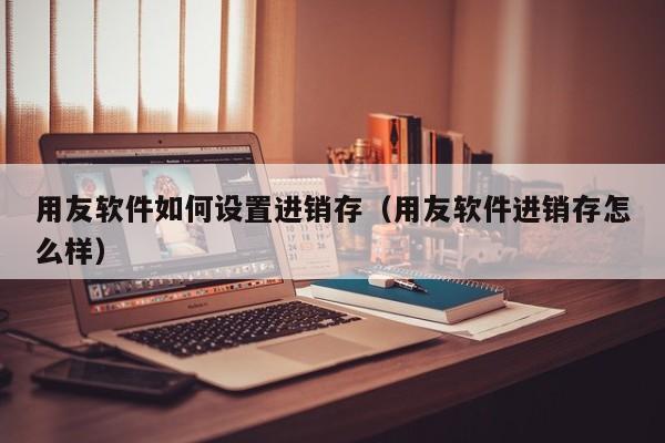 用友软件如何设置进销存（用友软件进销存怎么样）