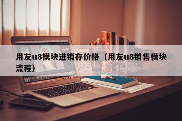 用友u8模块进销存价格（用友u8销售模块流程）