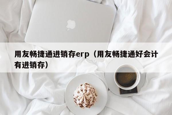 用友畅捷通进销存erp（用友畅捷通好会计有进销存）