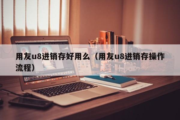 用友u8进销存好用么（用友u8进销存操作流程）