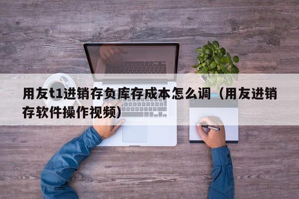 用友t1进销存负库存成本怎么调（用友进销存软件操作视频）