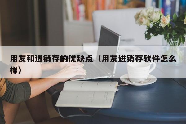 用友和进销存的优缺点（用友进销存软件怎么样）