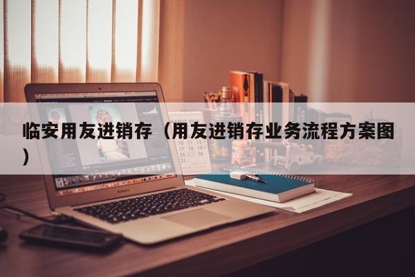 临安用友进销存（用友进销存业务流程方案图）